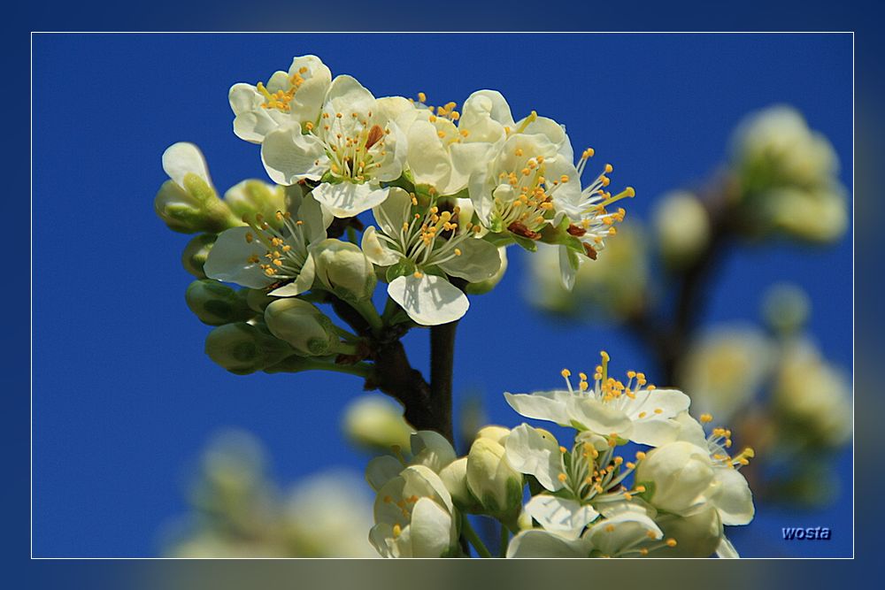 Frühling