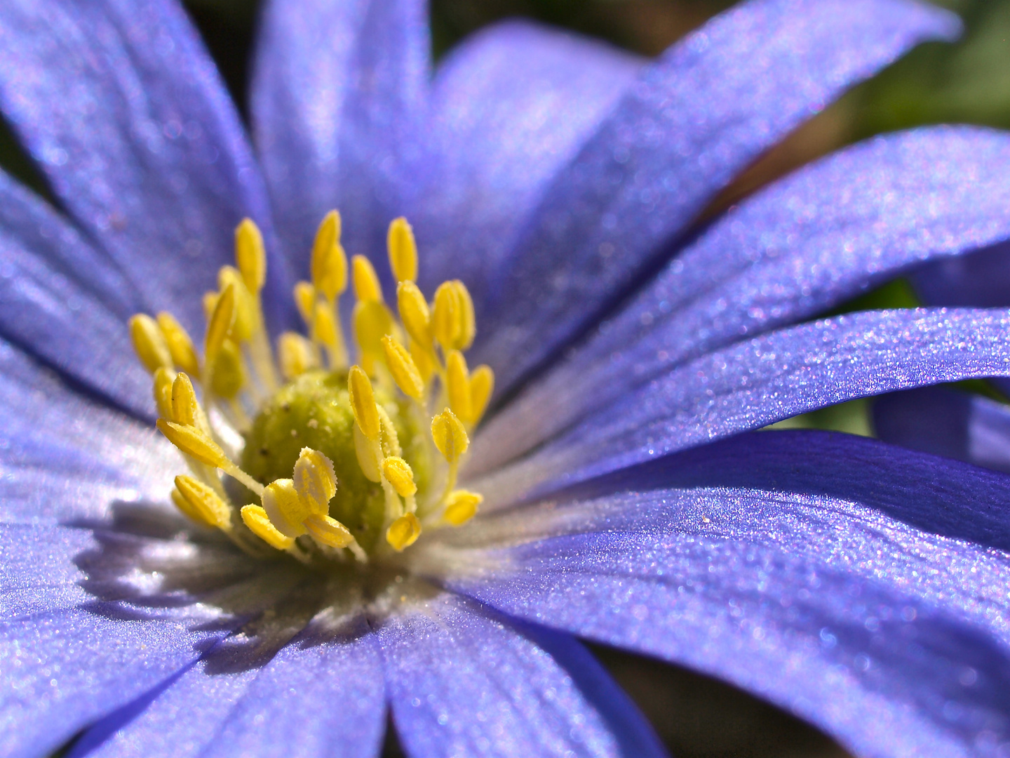 Frühling ...........