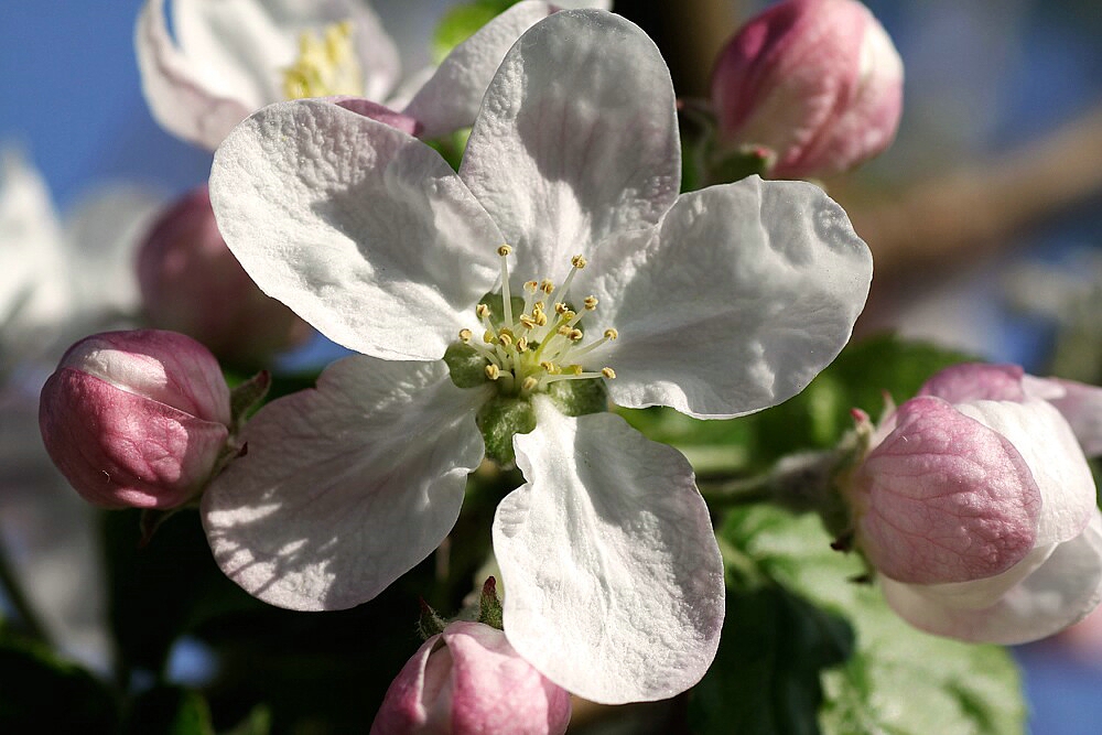 Frühling - Ein sonniger