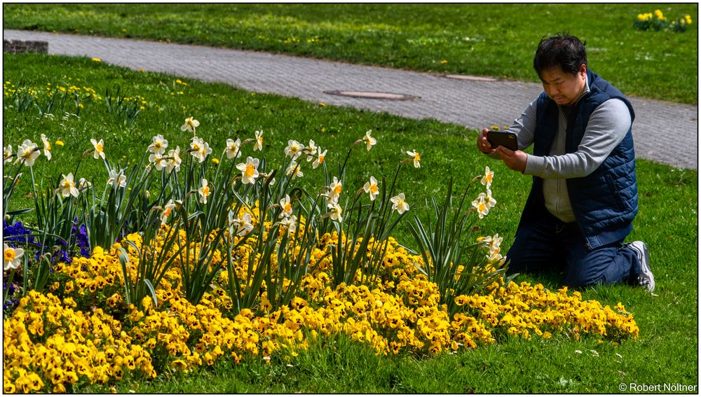 Frühling - endlich