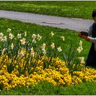 Frühling - endlich