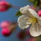 Frühling - endlich