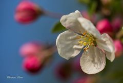 Frühling - endlich