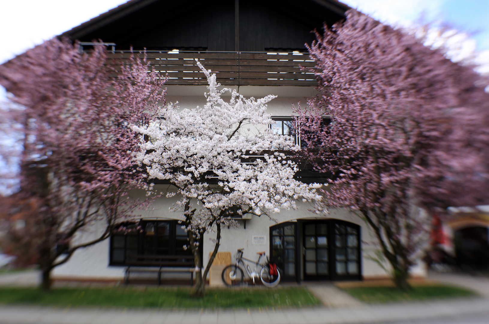 Frühling! Endlich!