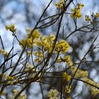 Frühling - endlich