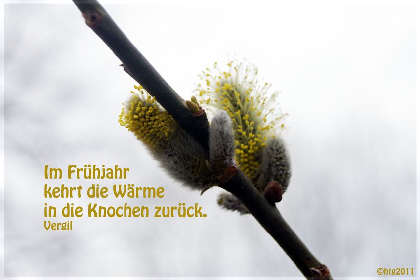 Frühling - endlich!