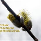 Frühling - endlich!