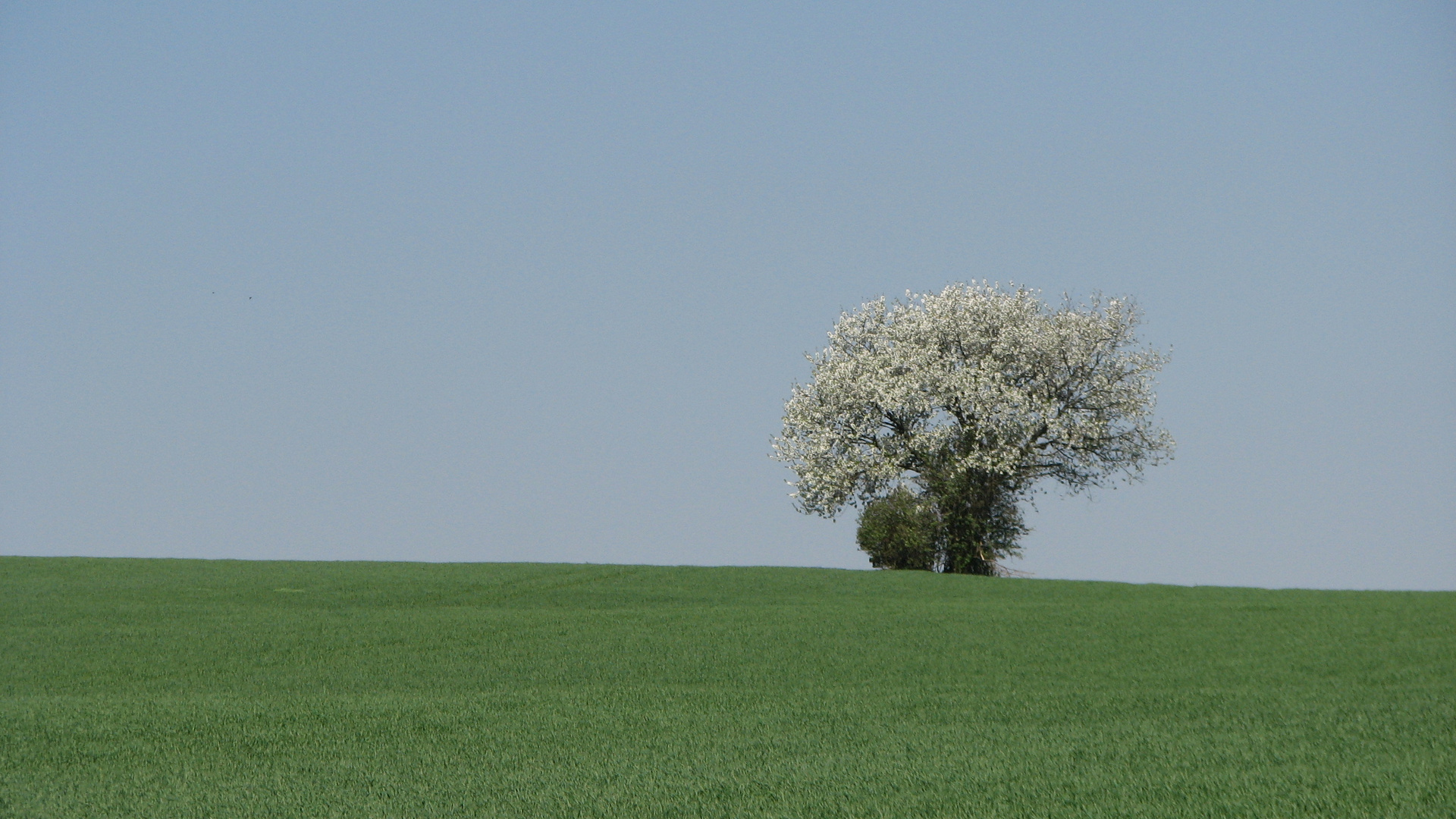 Frühling... endlich