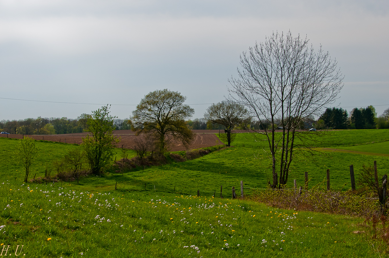 Frühling endlich IV