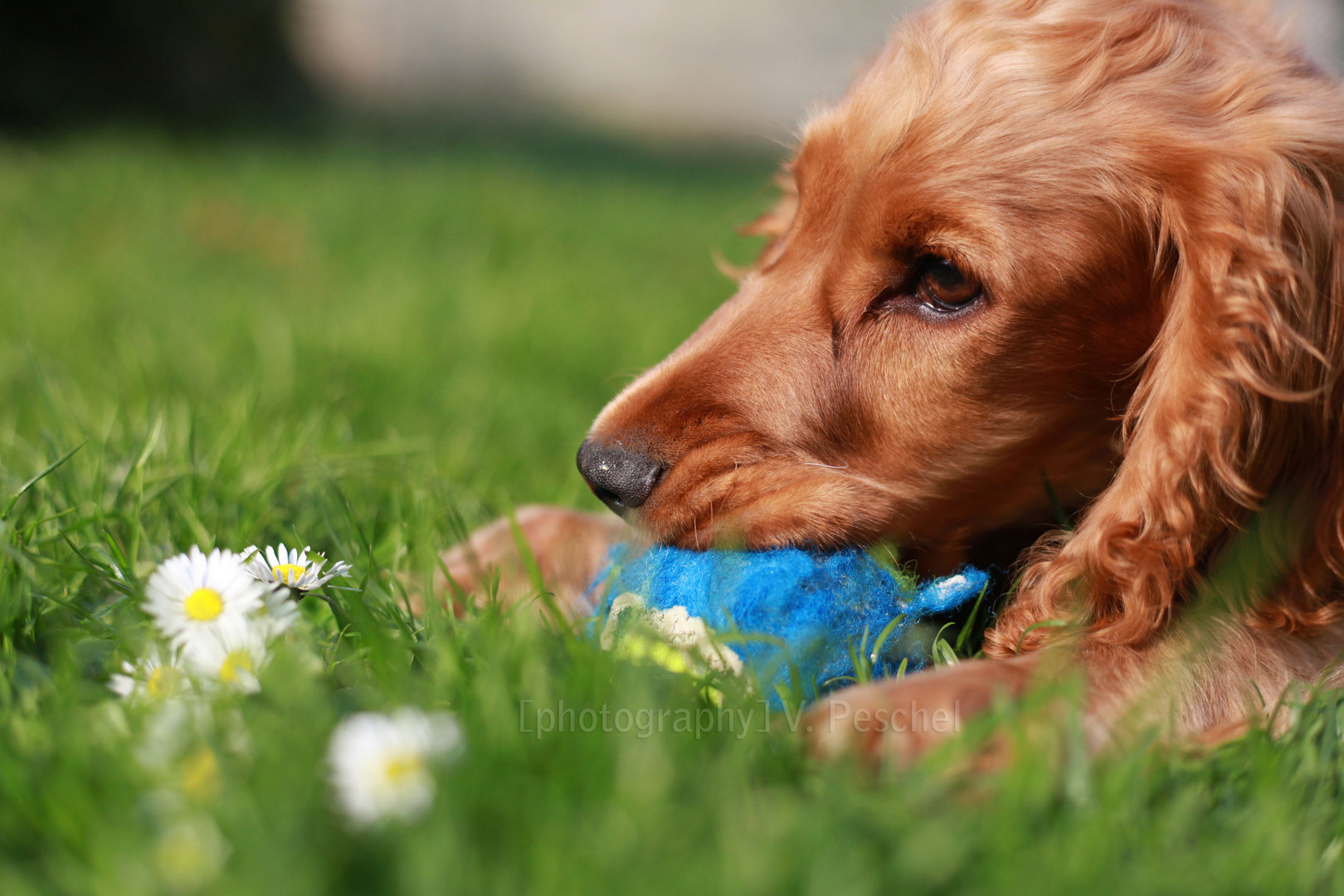 Frühling- endlich wieder draußen spielen