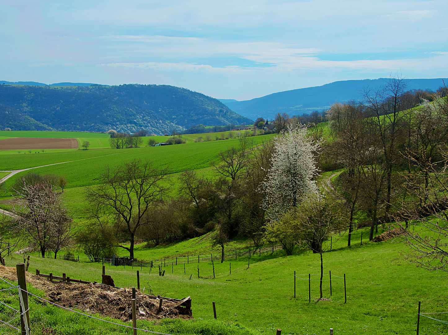 Frühling - Er ist's -