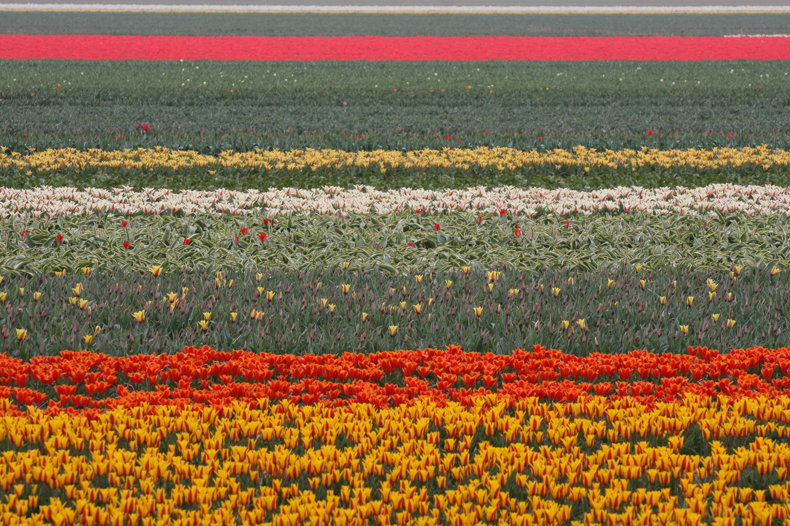 Frühling Erinnerung 1