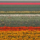 Frühling Erinnerung 1