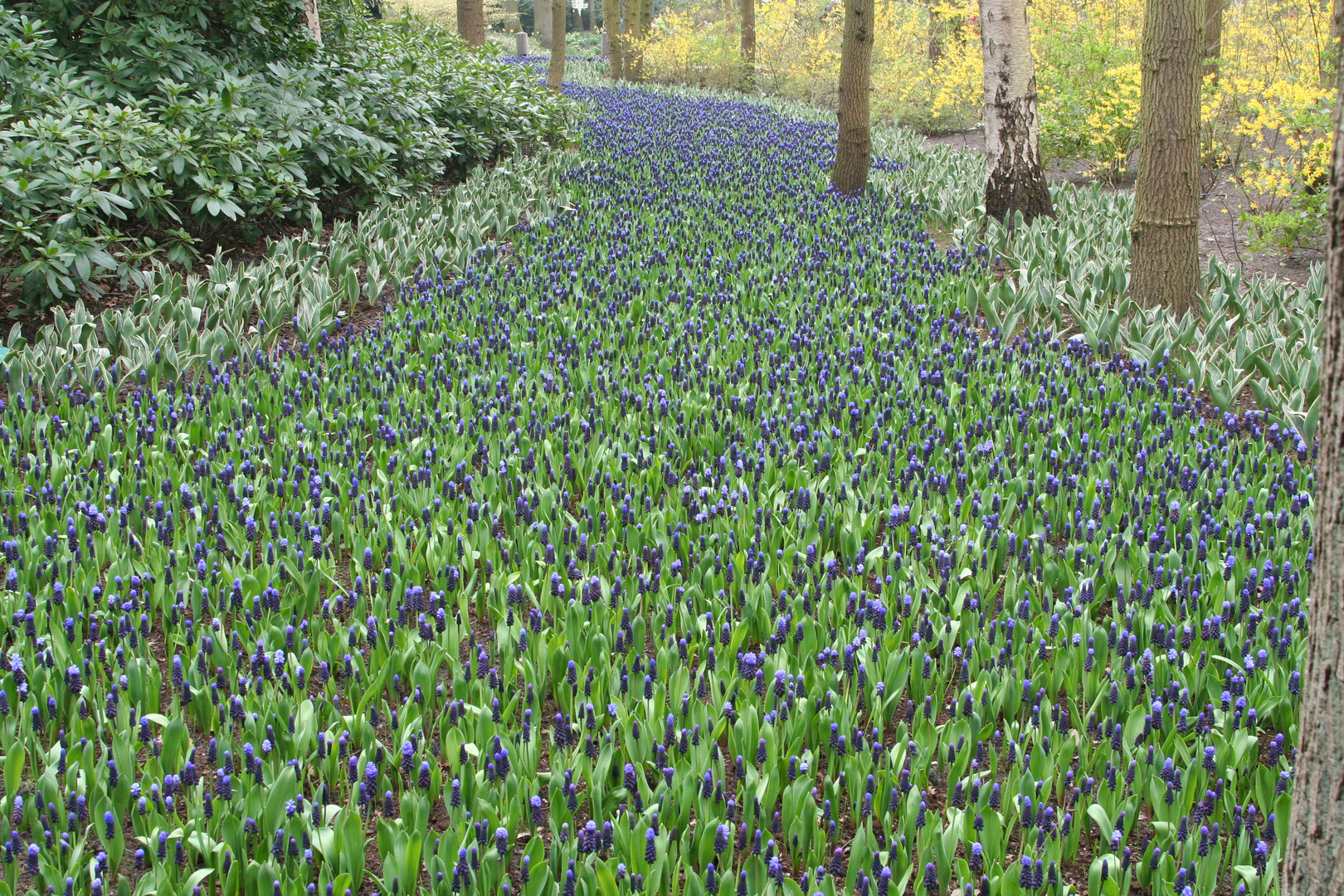 Frühling Erinnerung 10