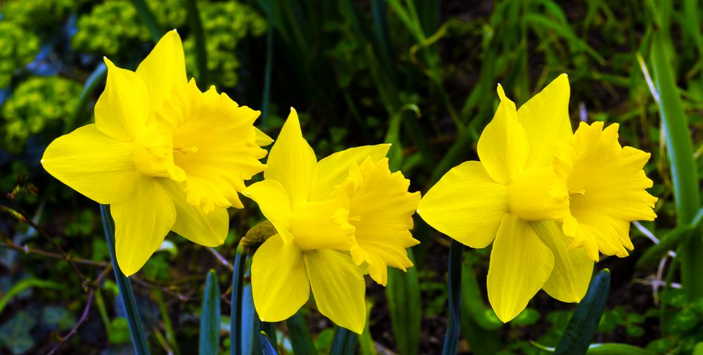 Frühling, es geht los 