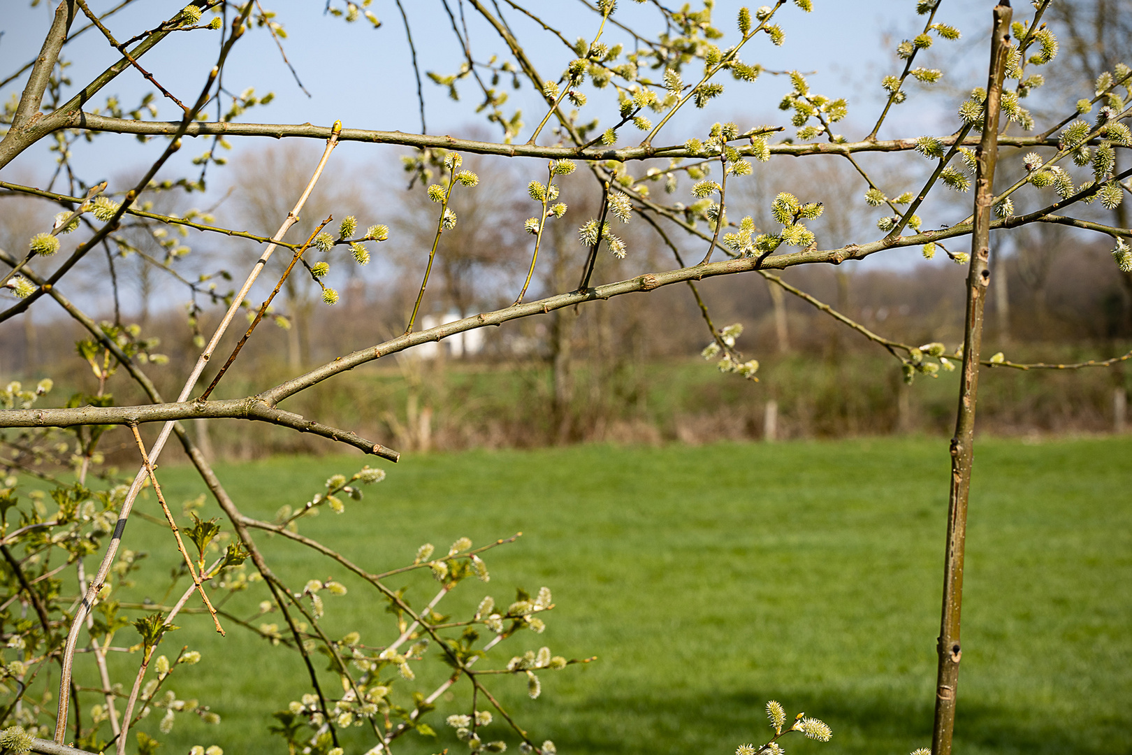 Frühling es geht los fc