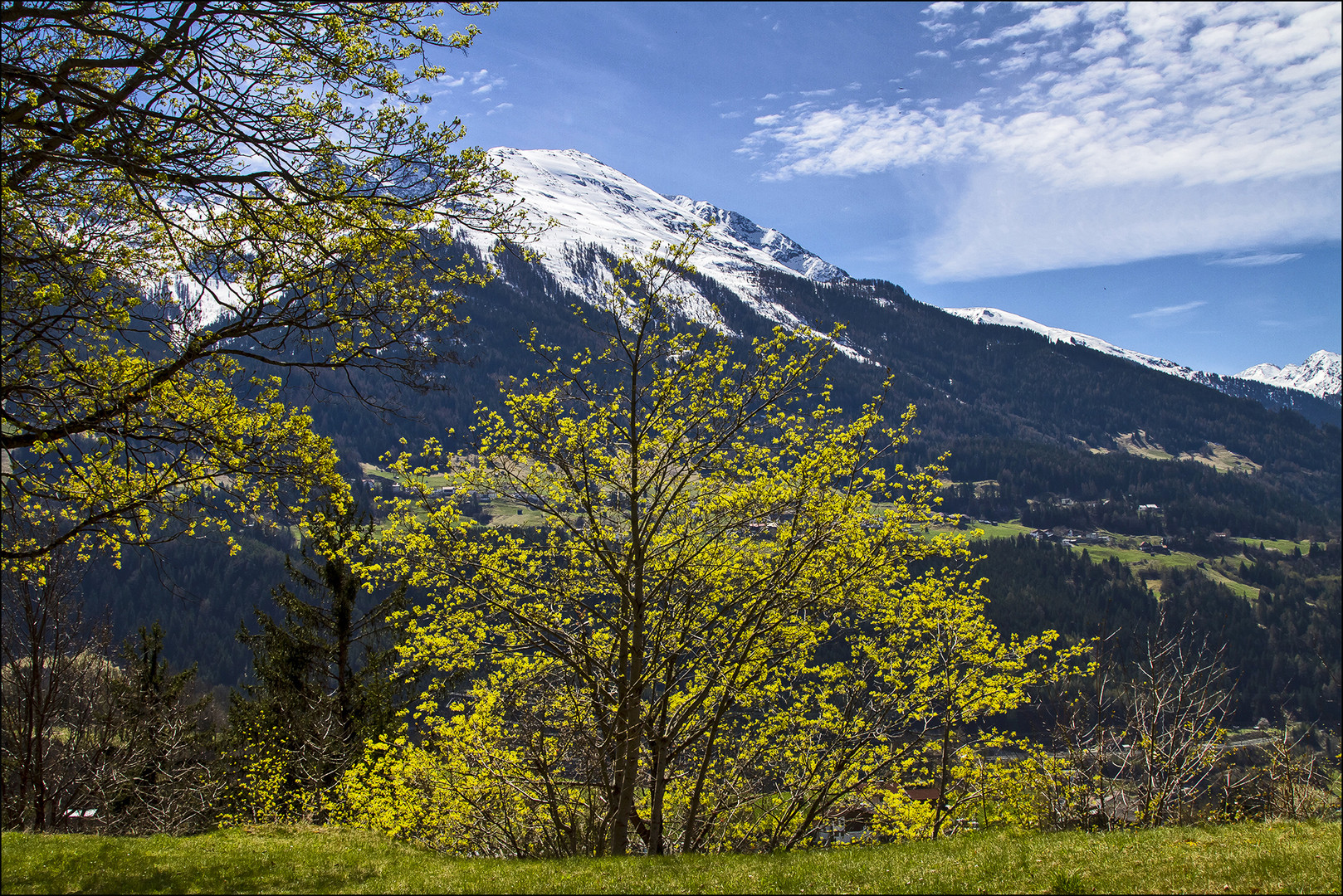 Frühling