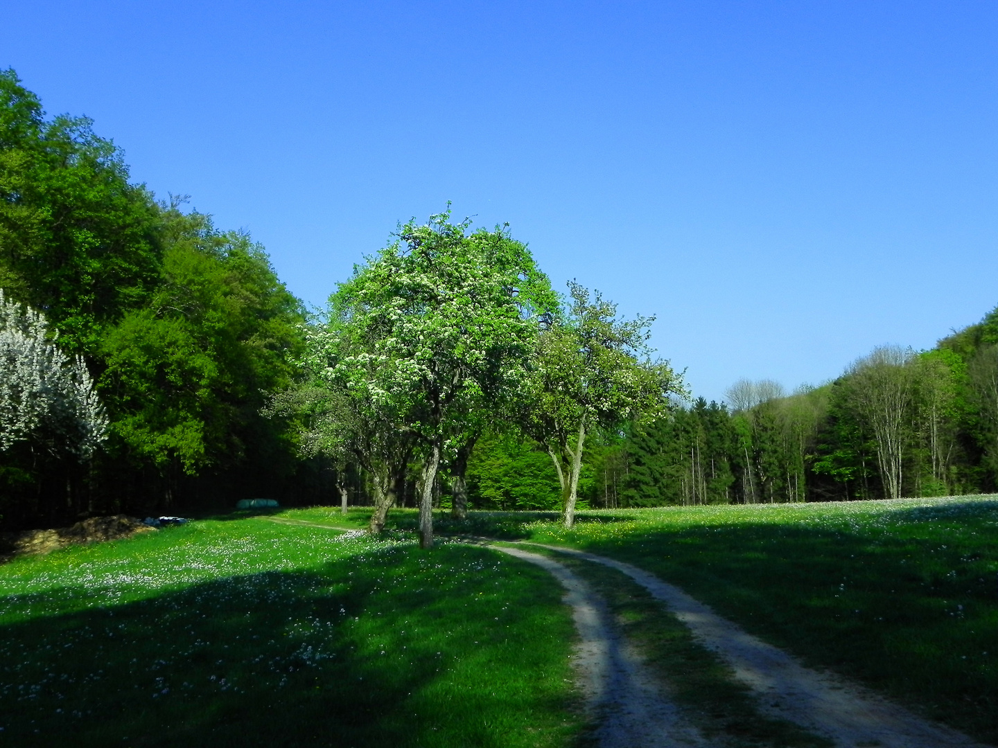 Frühling