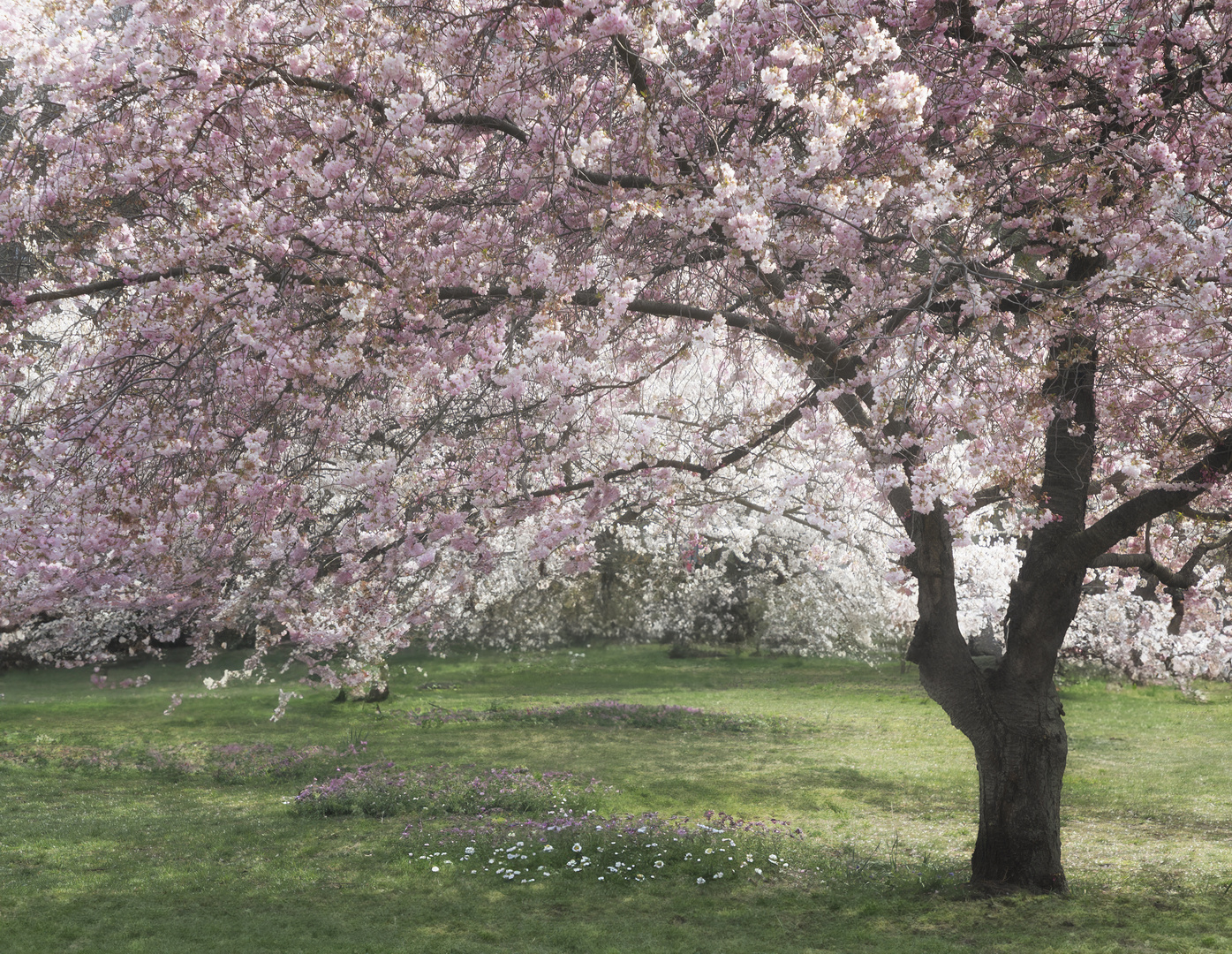 Frühling