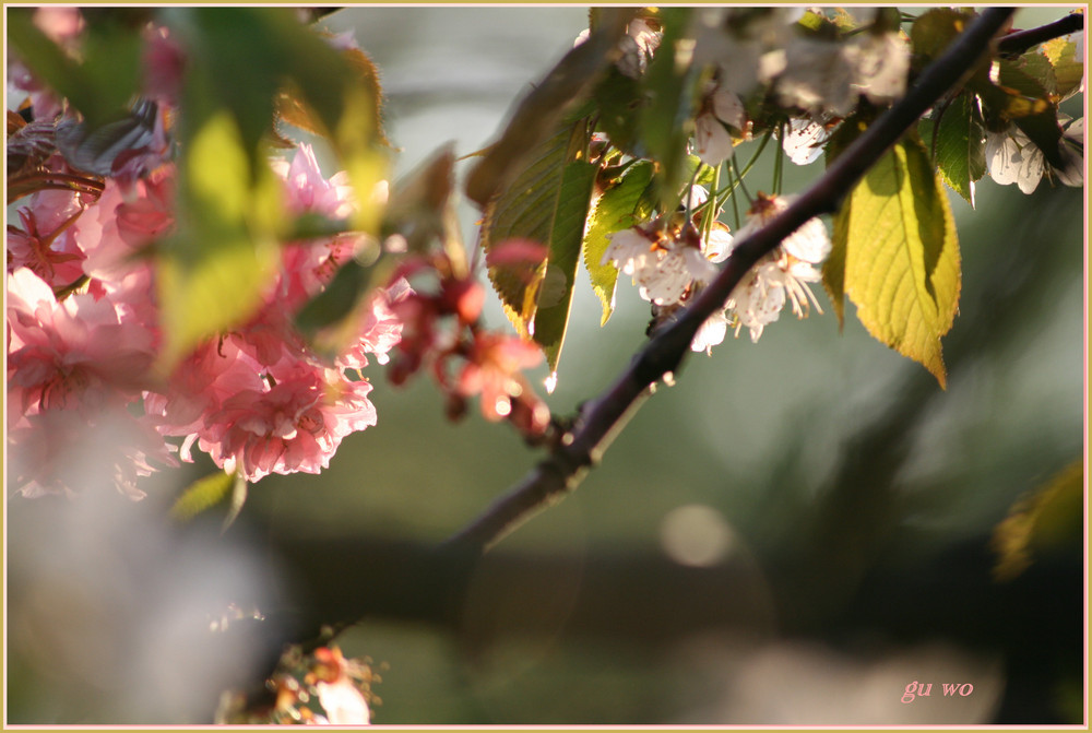 Frühling