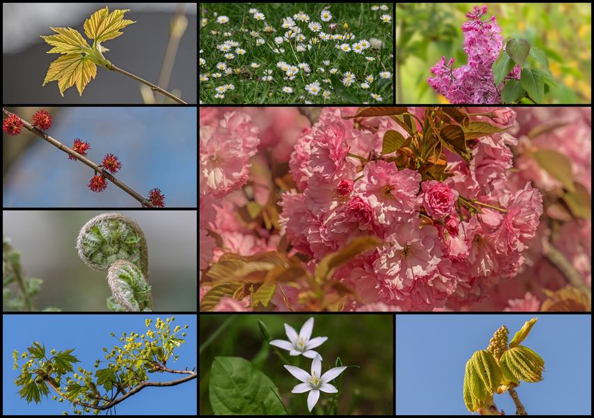 Frühling