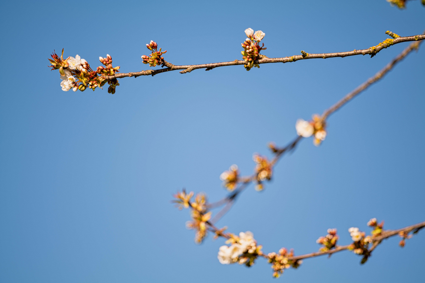 Frühling