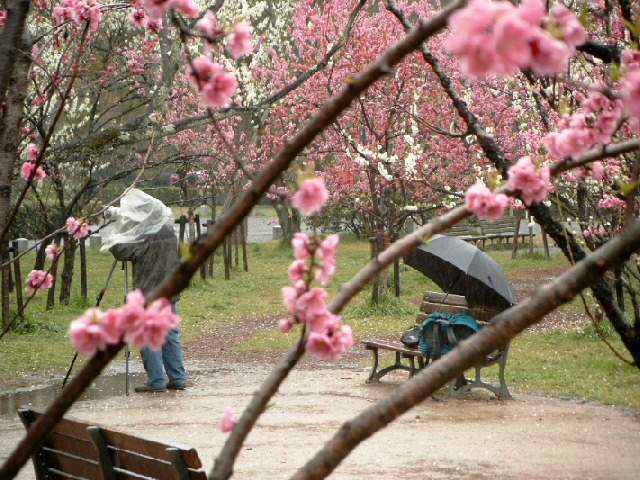 Frühling?