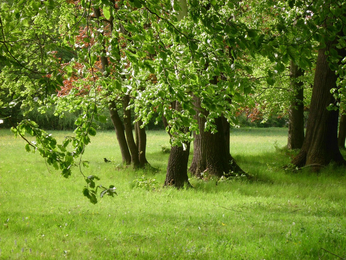 Frühling