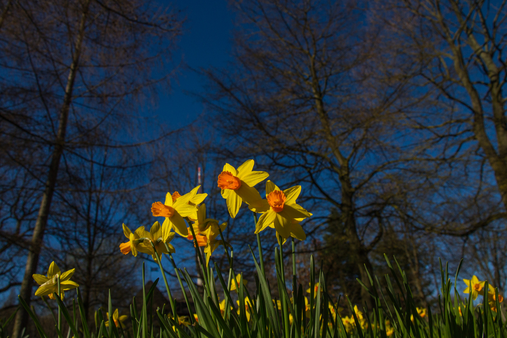 Frühling