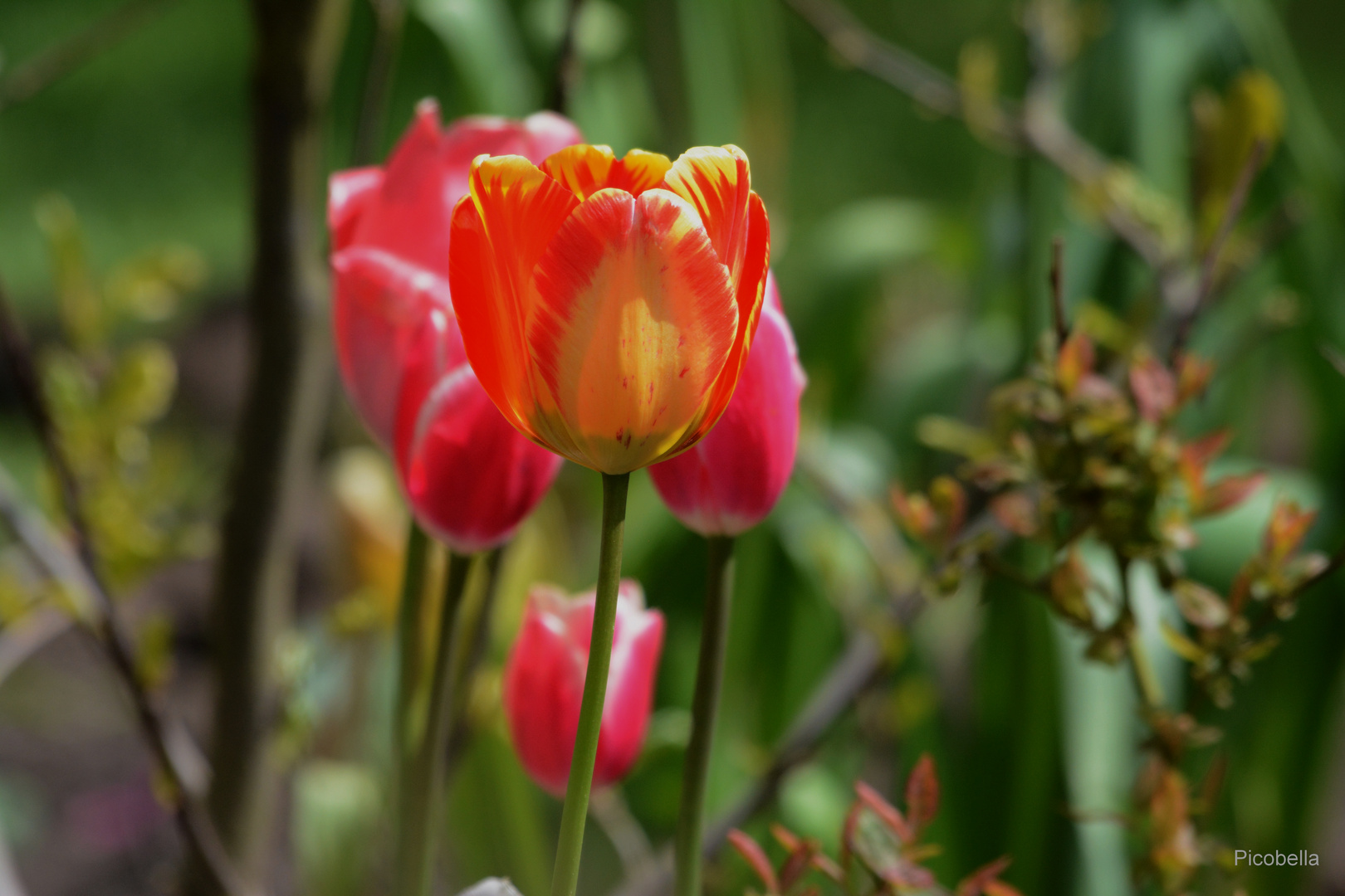 Frühling