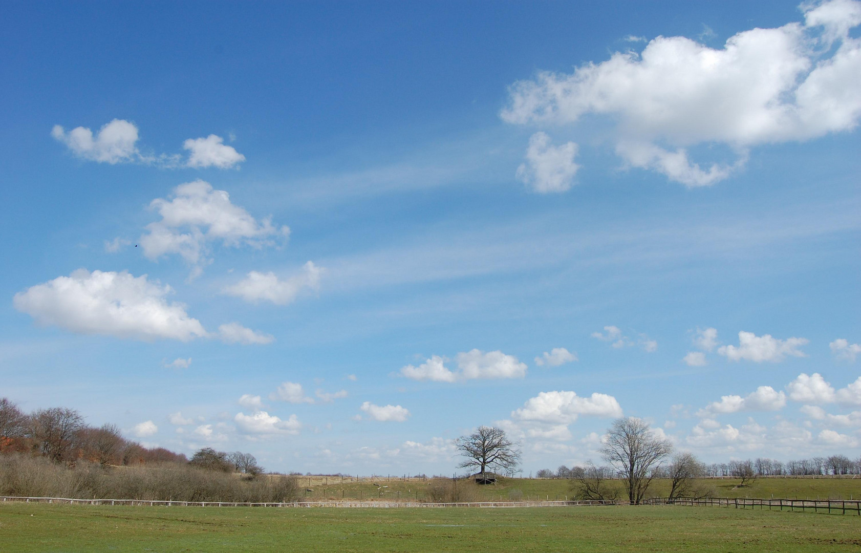 Frühling