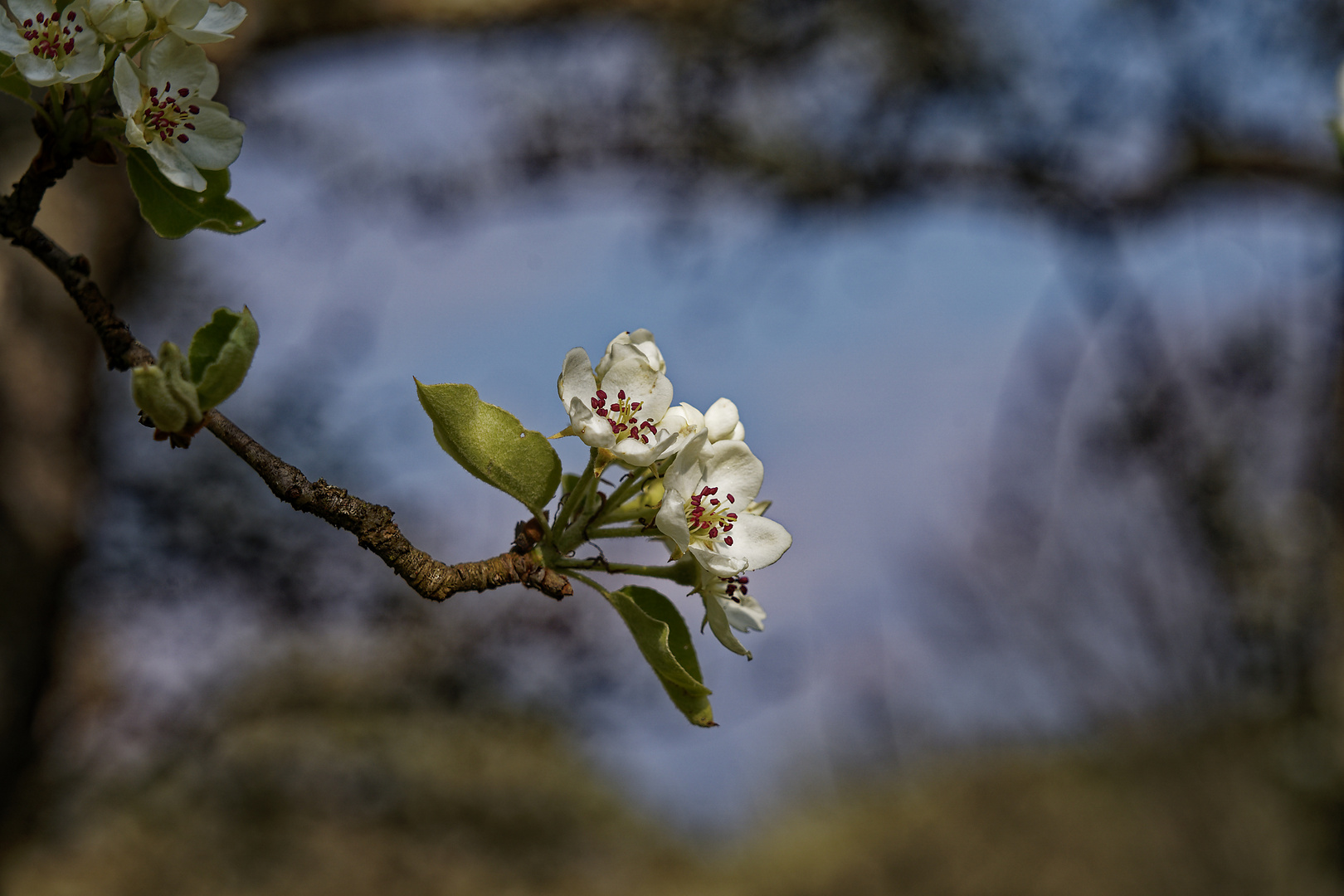 Frühling 