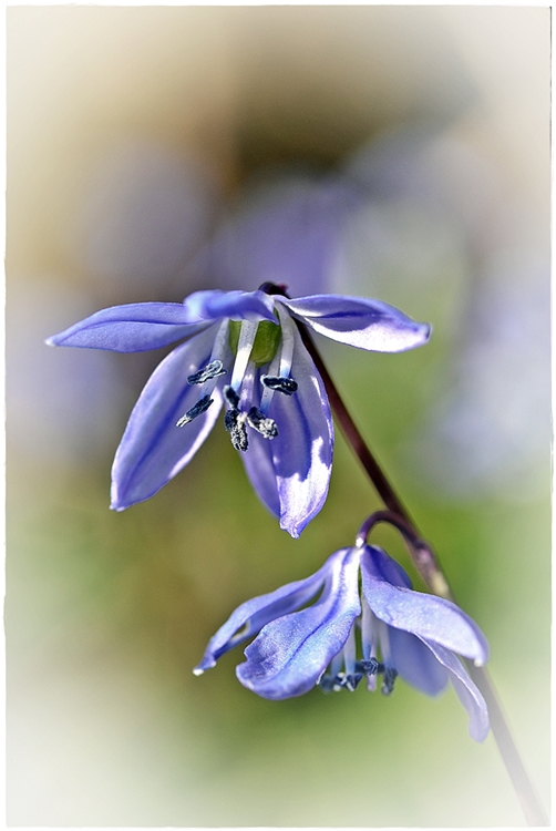 Frühling