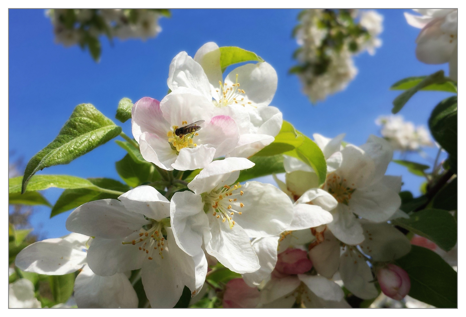 Frühling