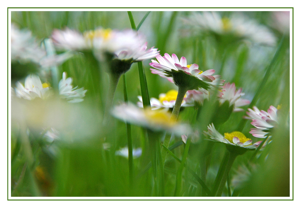 Frühling