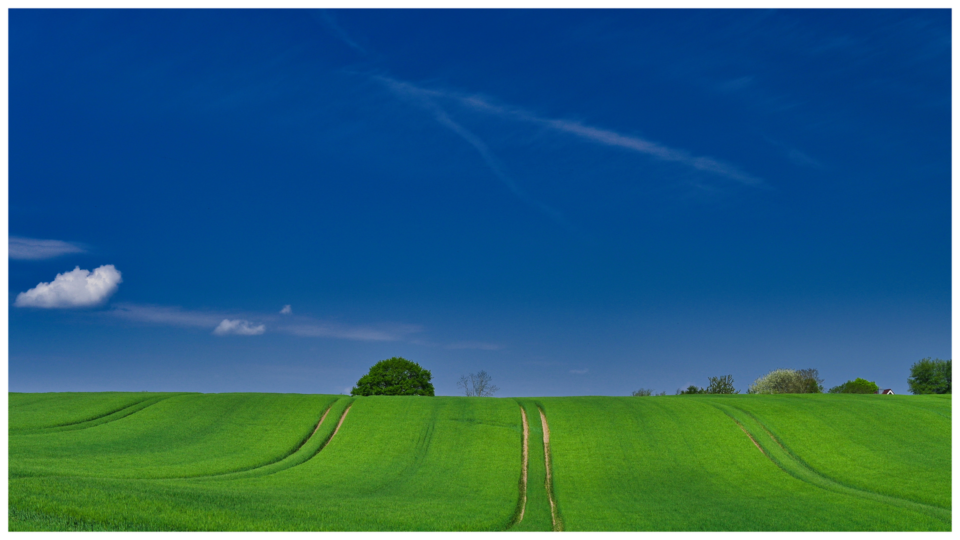 Frühling