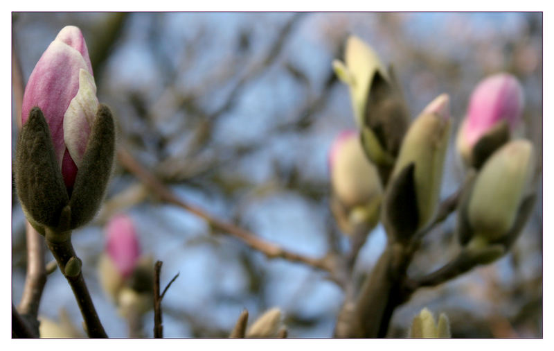 Frühling...