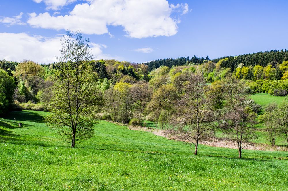 Frühling