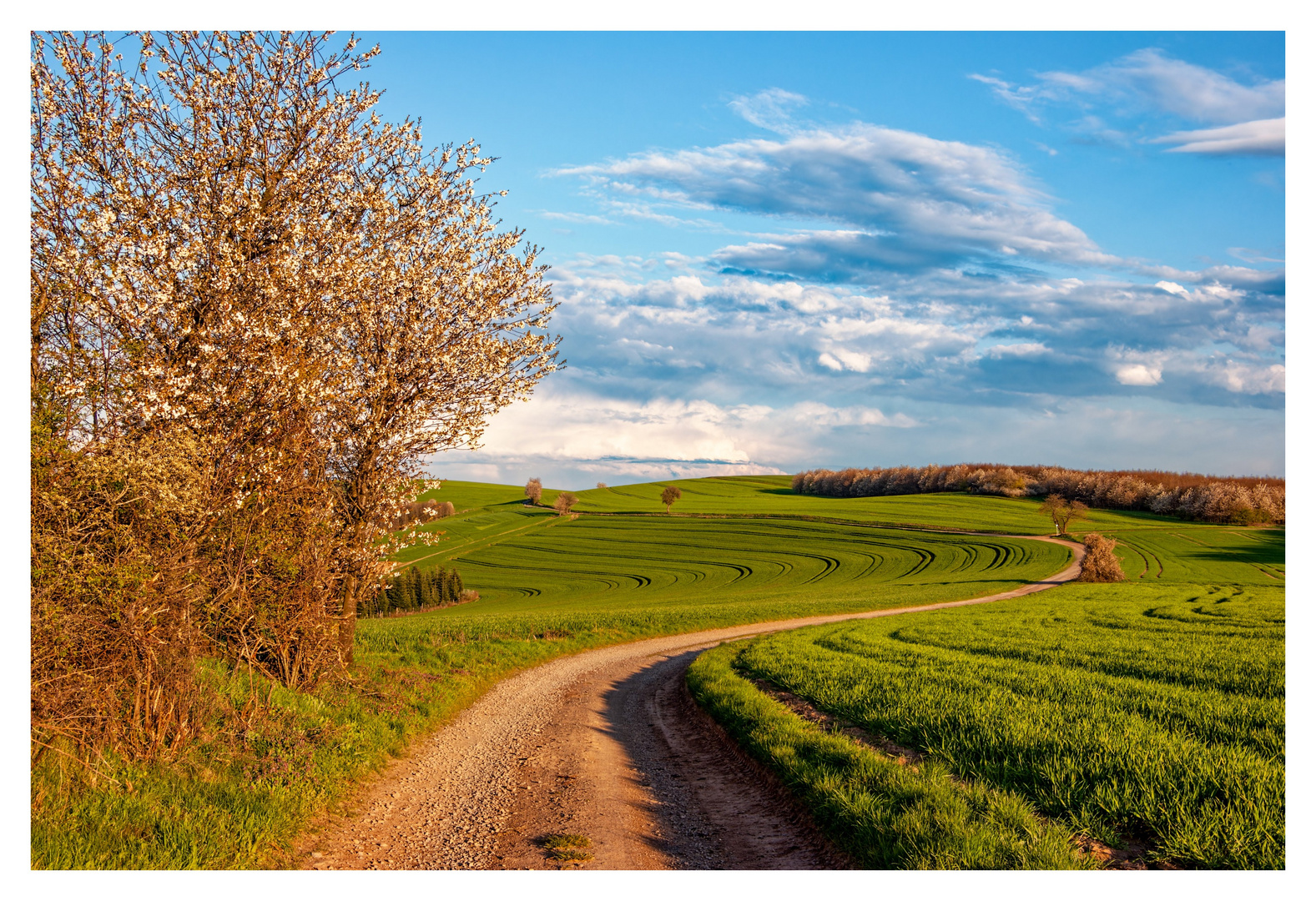 Frühling