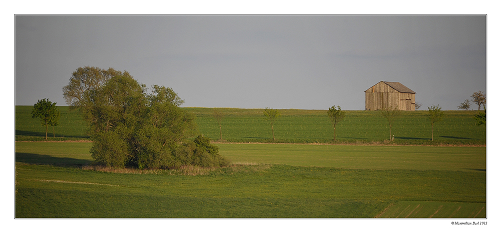 Frühling