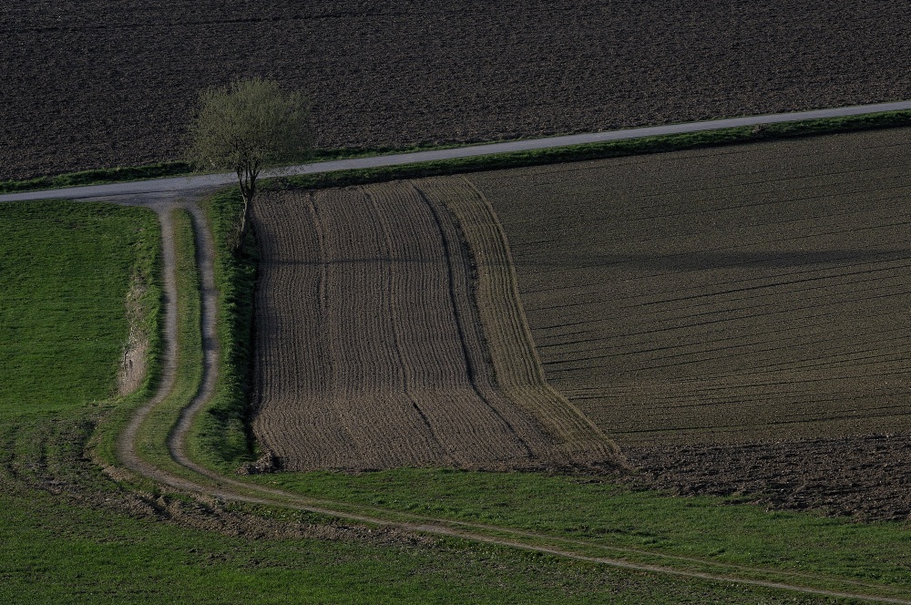 Frühling