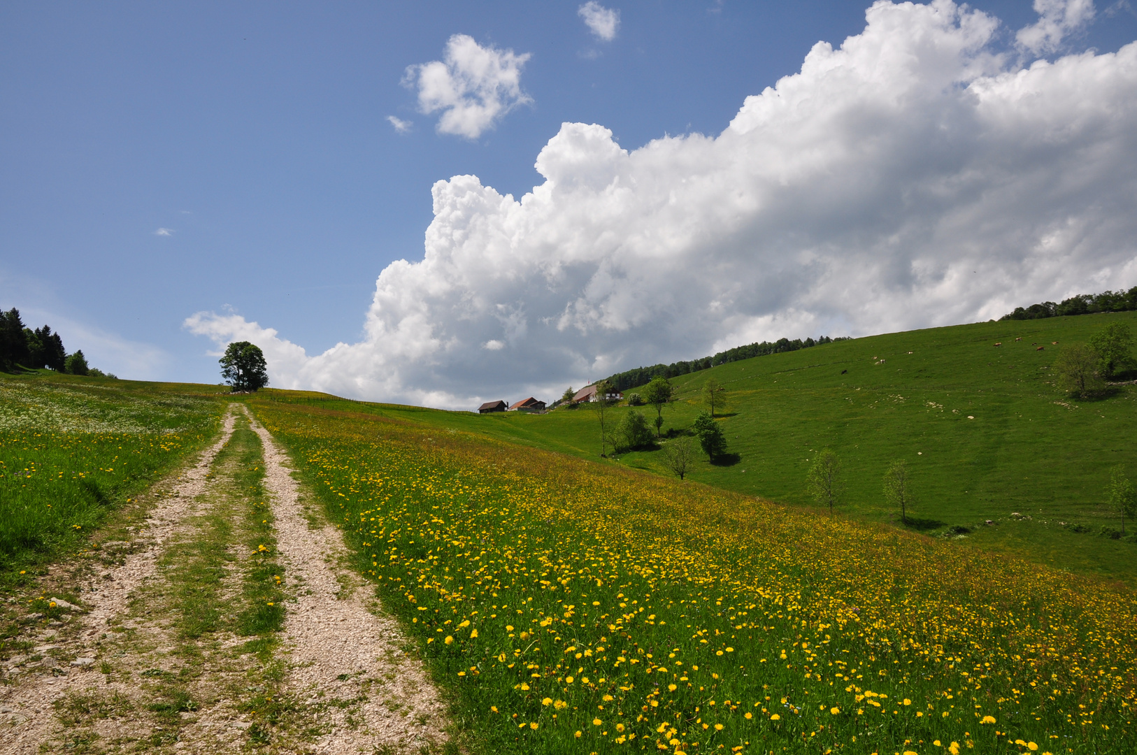 Frühling