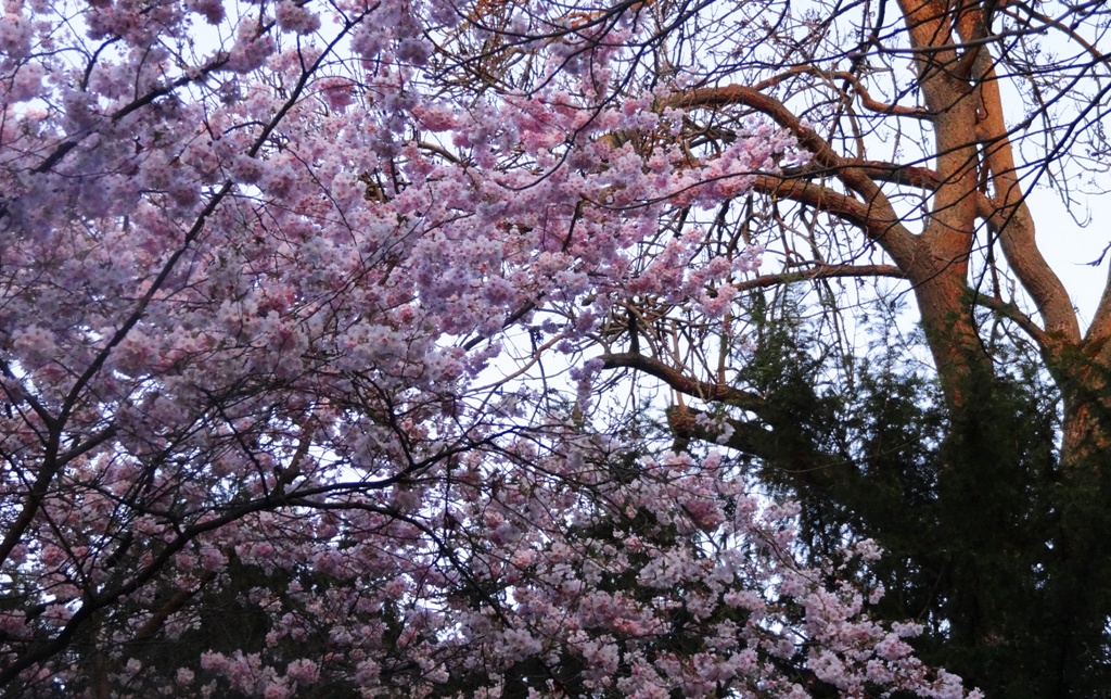 Frühling Farben