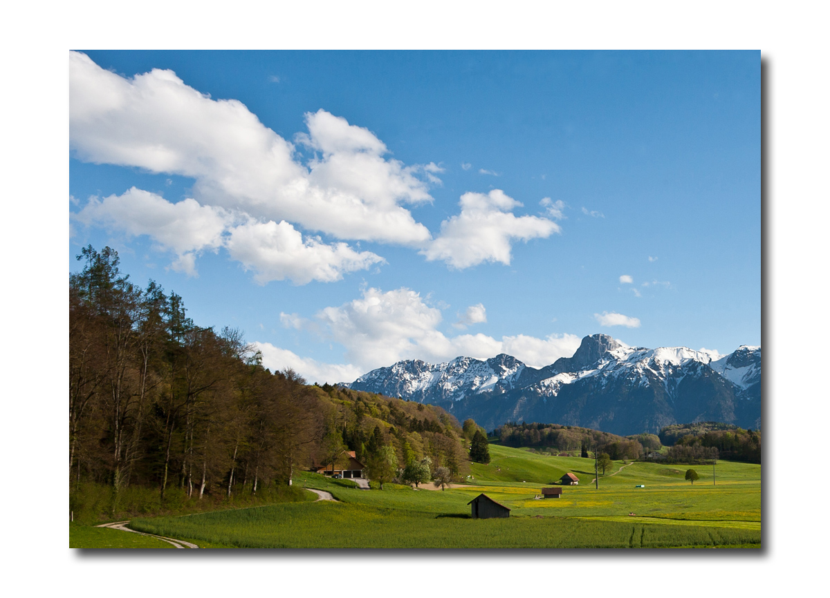 Frühling (fast) vor unserer Haustüre