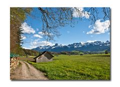 Frühling (fast) vor unserer Haustüre II