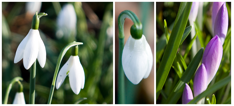 Frühling