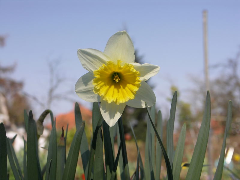 Frühling