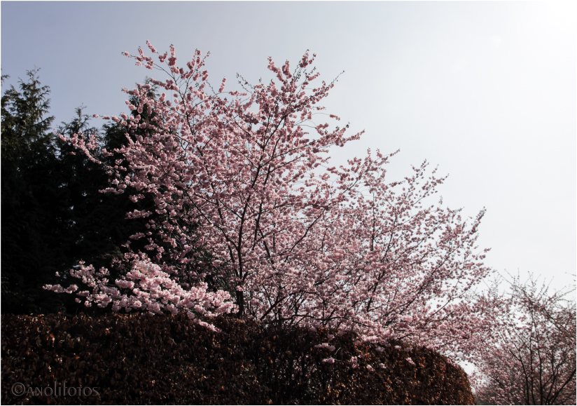 Frühling