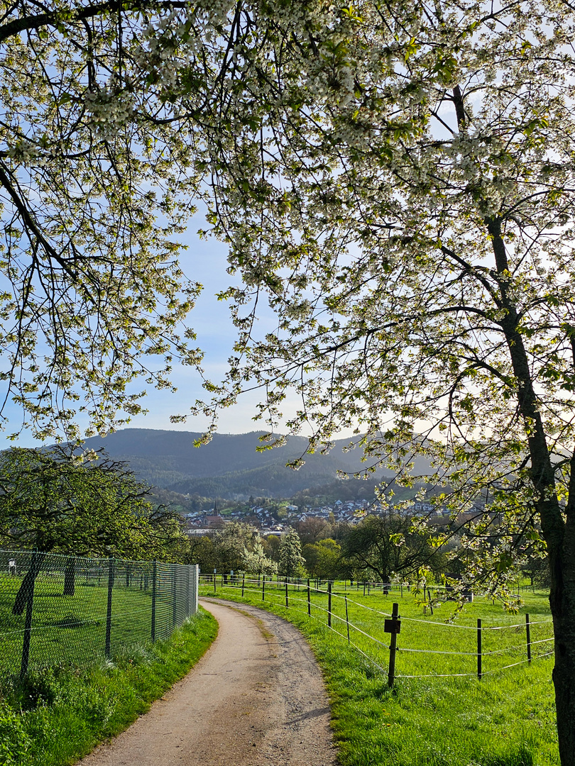 Frühling 