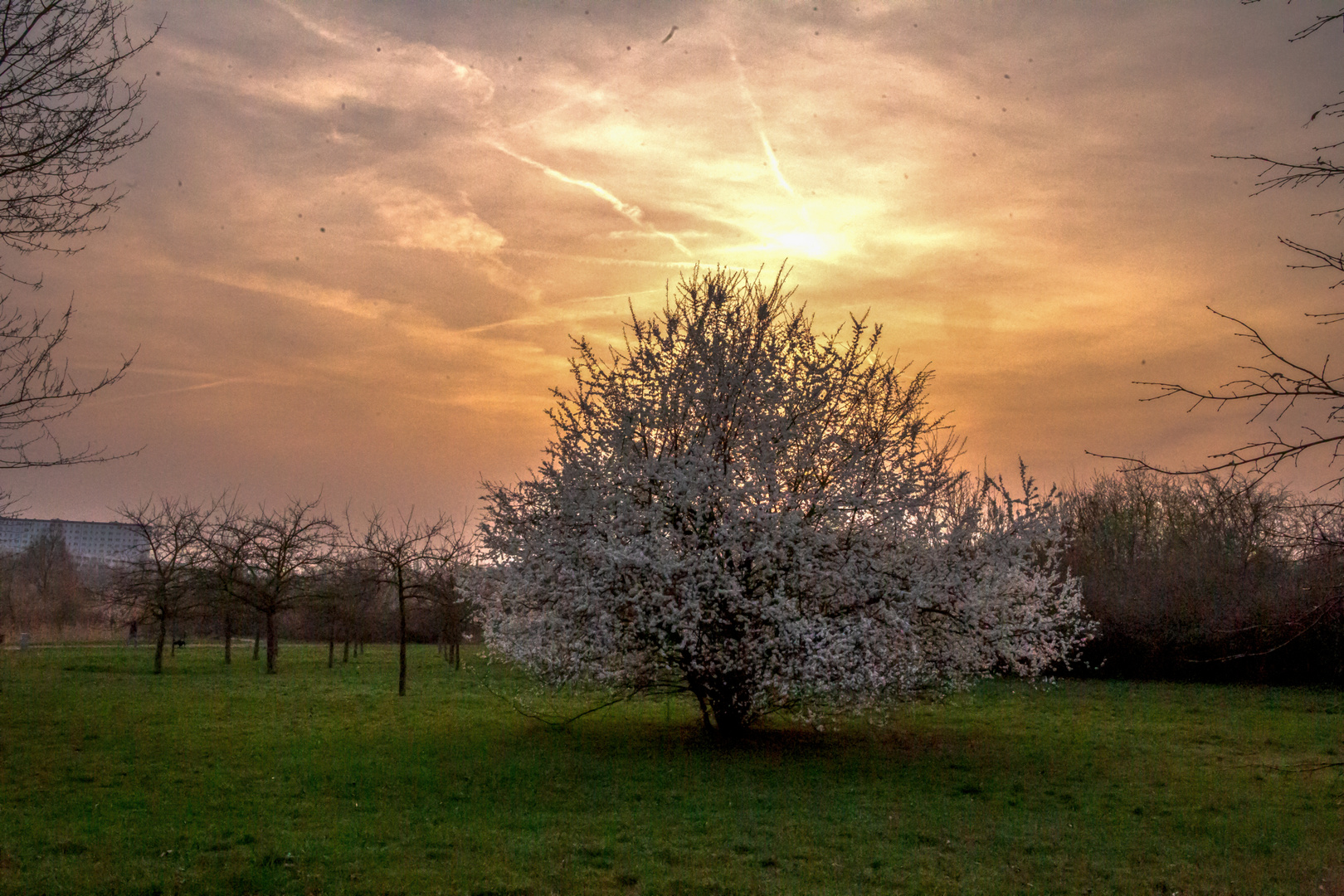 Frühling 